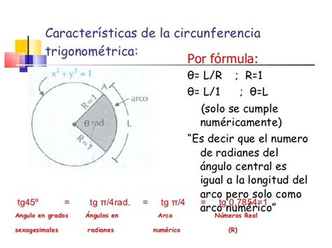 Circunferencia trigonometrica