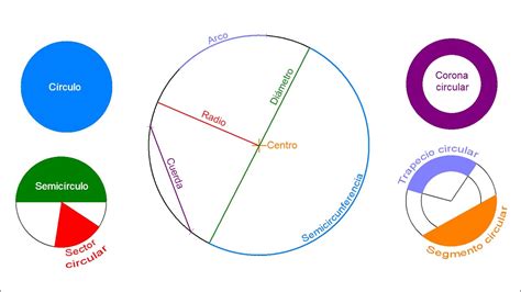 Circunferencia y círculo   Definición y elementos   YouTube