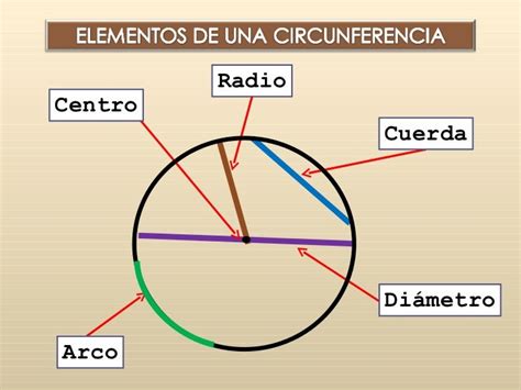 Circunferencia Y Circulo