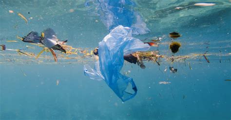 Citizen Scientists Are Tracking Plastic Pollution ...