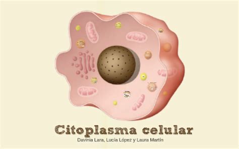 Citoplasma celular by Lucía López on Prezi