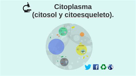 Citoplasma  citosol y citoesqueleto  by Eduardo Toledo ...