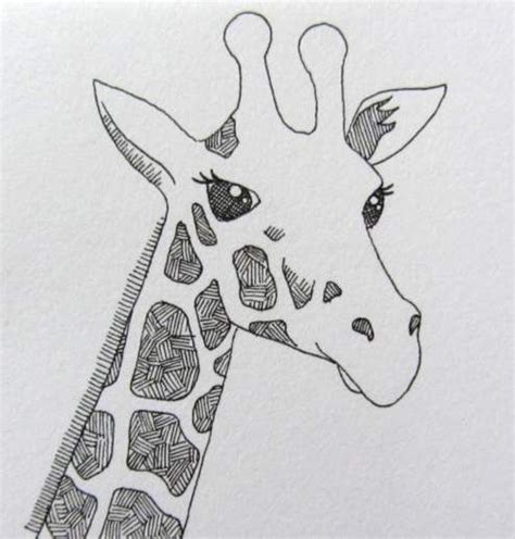 Clare Willcocks | Giraffe art, Giraffe drawing, Animal ...