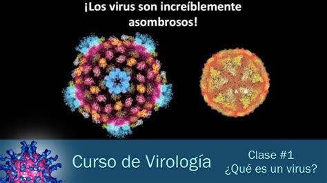 Clase #1   ¿Qué es un virus?   YouTube