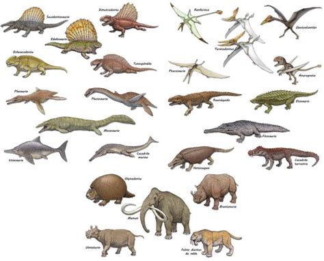 clases de dinosaurios.jpg  1031×832  | Dinosaurios ...