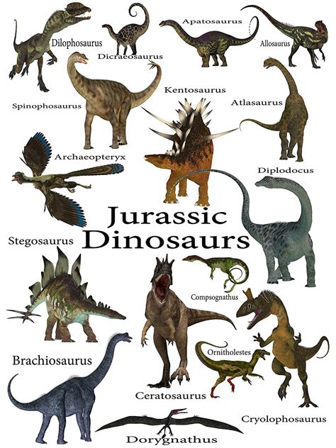 Clases De Dinosaurios Nombres   SEONegativo.com