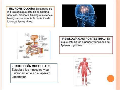 CLASIFICACIÓN DE LA FISIOLOGIA