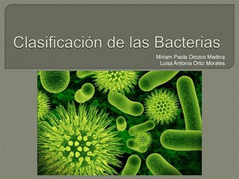 Clasificación de las bacterias