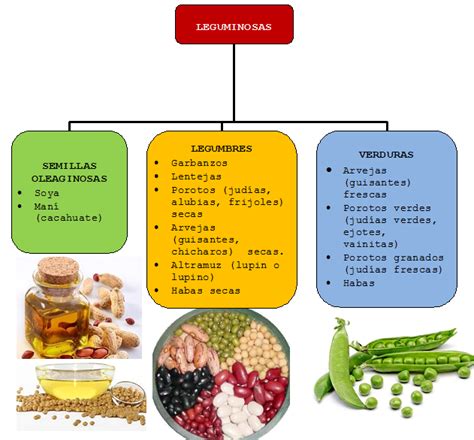 clasificacion de las leguminosas | Els llegums | Legumbres ...