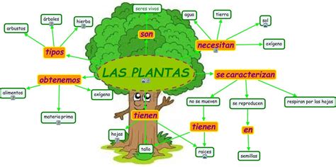 clasificacion de las plantas por su utilidad | Teaching ...