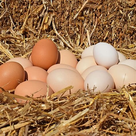 Clasificación de las recetas según los huevos que lleva.   Gallinas y más