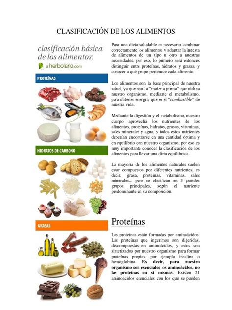 Clasificación de Los Alimentos | Carbohidratos | Lípido