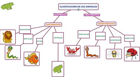 CLASIFICACIÓN DE LOS ANIMALES » Especies, alimentación y ...