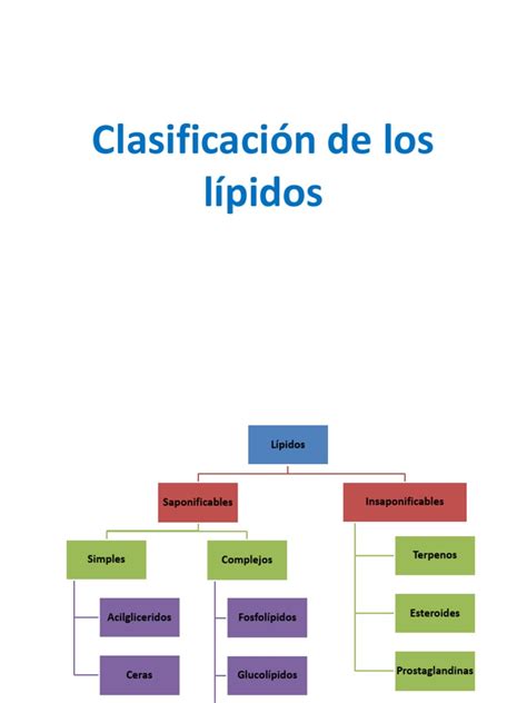 Clasificación de los lípidos Chacorete | Lípido | Ácido graso