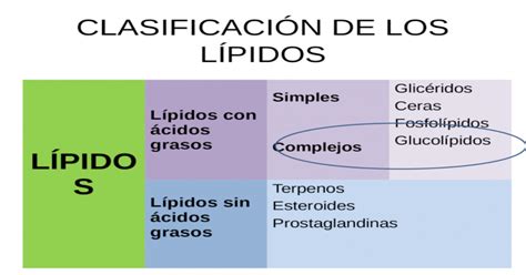 CLASIFICACIÓN DE LOS LÍPIDOS LÍPIDOS Lípidos con ácidos grasos Simples ...