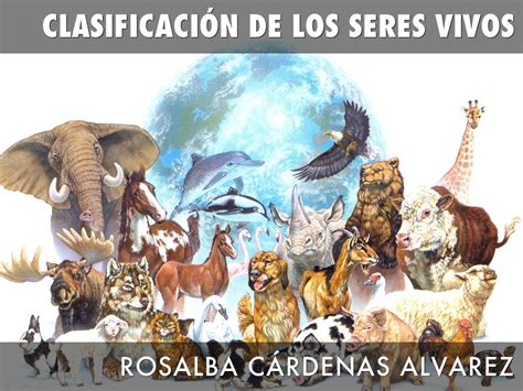 CLASIFICACIÓN DE LOS SERES VIVOS by rosalba_212