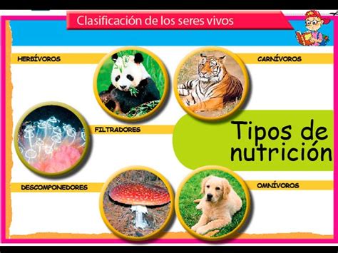 Clasificación de los seres vivos: Tipos de nutrición ...