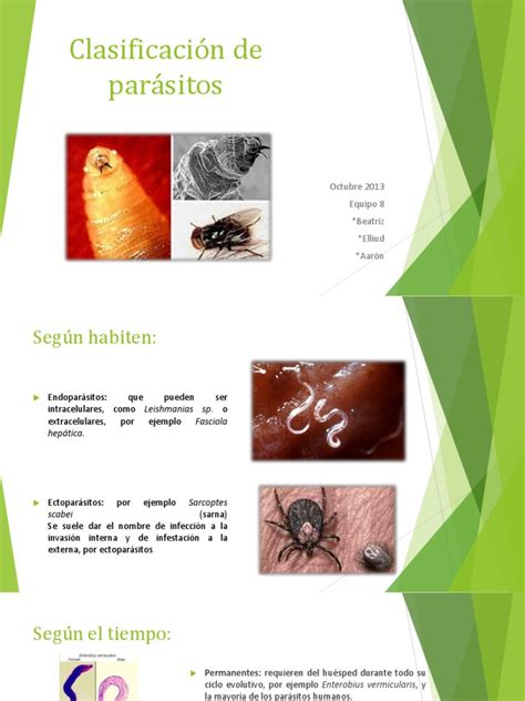 Clasificación de parásitos | Parasitismo | Parasitología