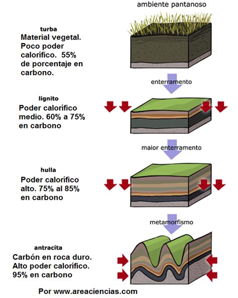 Clasificacion del carbon :: EL CARBON