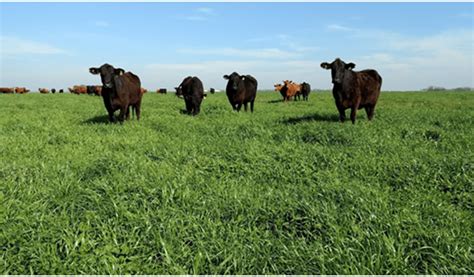 Claves de integración en agricultura y ganadería | ON24 | Información ...
