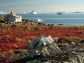 Clima de tundra   Wikipedia, la enciclopedia libre