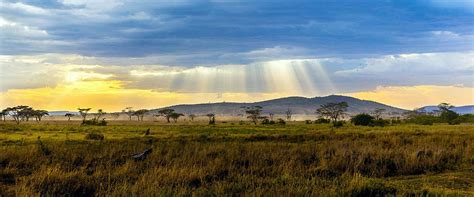 Clima del Kenya   Benvenuti in Kenya