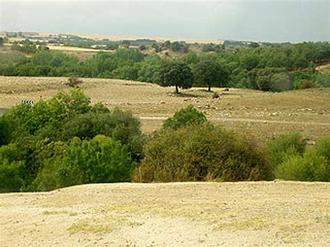 Clima mediterráneo | Wiki | Everipedia