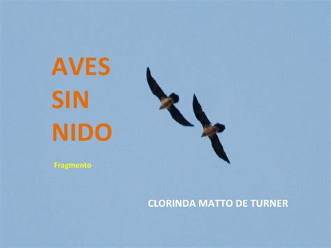 CLORINDA MATTO DE TURNER | AVES SIN NIDO