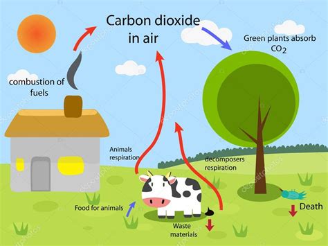 CO2 cyclus — Stockvector  kawin302 #87504300