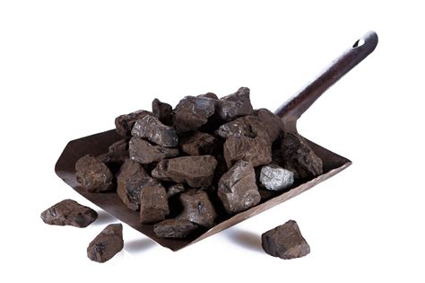 Coal Hut Blog   What is Lignite?