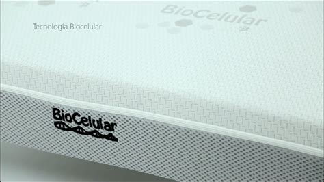 Colchón Ce Ingravity Biocelular   YouTube