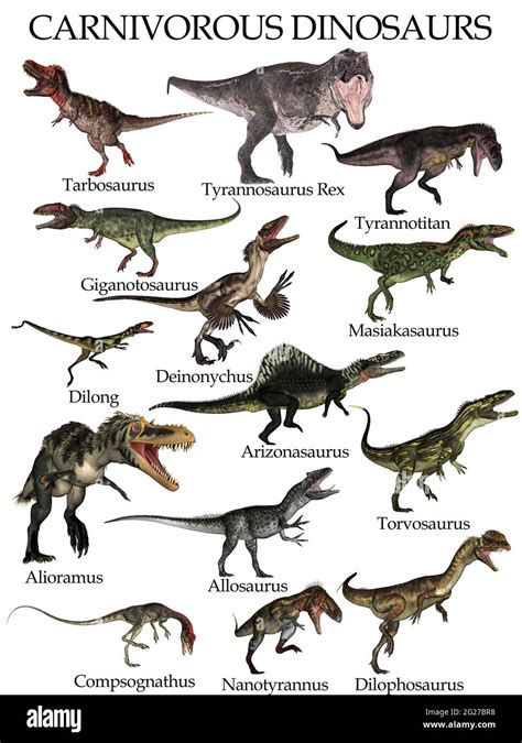 Colección de dinosaurios carnívoros, aislados sobre fondo blanco ...