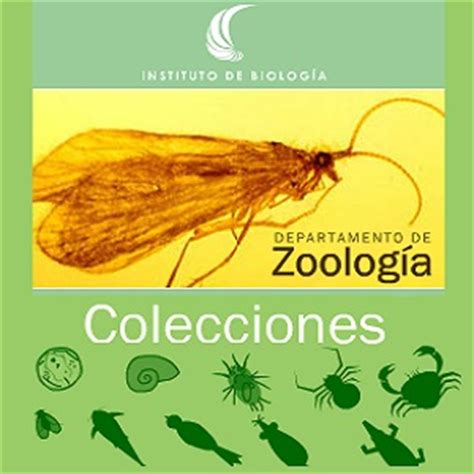 Colecciones del Departamento de Zoología del Instituto de ...
