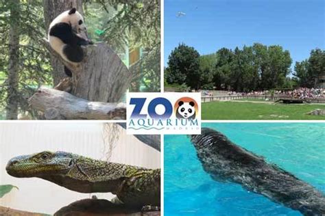 Colectivia | Entrada al Zoo Aquarium de Madrid ¡no esperes ...