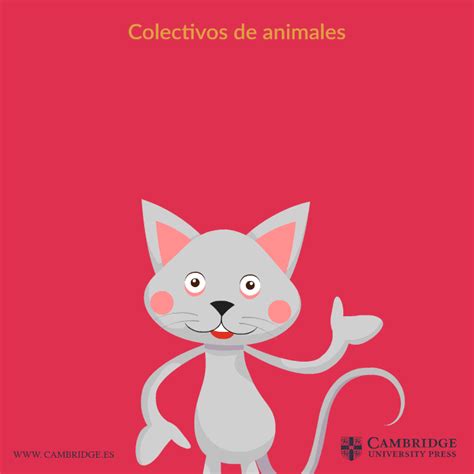 Colectivos de animales en inglés   Blog Cambridge