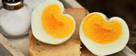 Colesterol en un huevo   Ainhoa Nutricionista   Dietista Gandia