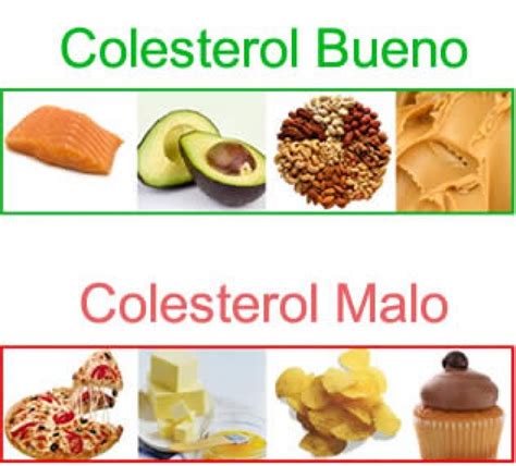 Colesterol HDL El Bueno Tratamiento para Incrementarlo   ATLETISMO ...