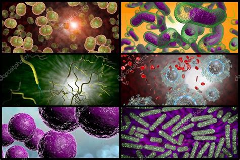 Collage de la infección de bacterias — Foto de stock  ezumeimages ...
