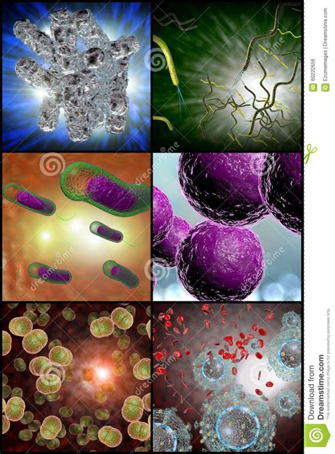 Collage De La Infección De Las Bacterias Stock de ilustración   Imagen ...