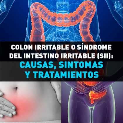 Colon irritable o síndrome del intestino irritable  sii : causas ...