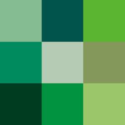Color verde para pintar las paredes del hogar