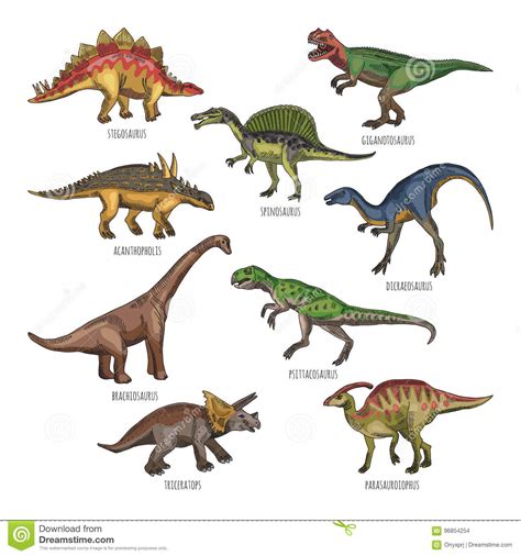 Colored Illustrations Of Different Dinosaurs Types ...