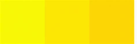 Colores amarillos   Imagui