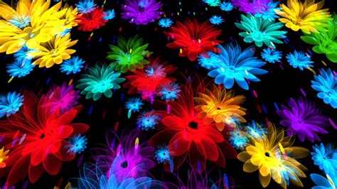 Colorful Flowers by AS_100 | VideoHive