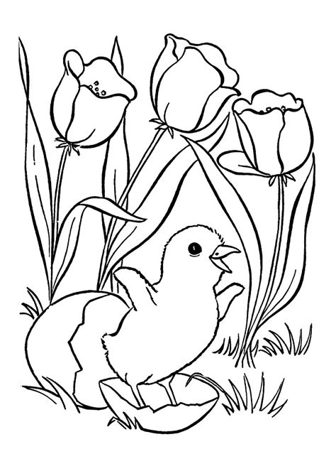 coloring pages for 5 7 year old girls to print for free