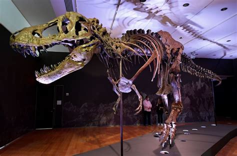 Colosal fósil de Tyrannosaurus rex podría ser tuyo por $ 8 ...
