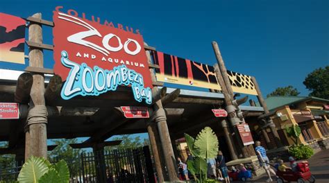 Columbus Zoo and Aquarium in Powell   Tours and Activities | Expedia