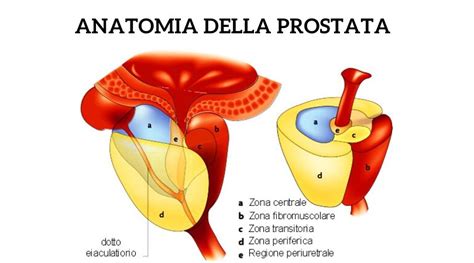 Come Curare la Prostatite: Cos è, Sintomi e Cura