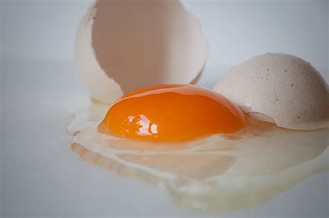 Come huevo sin temor al colesterol   Animal Gourmet
