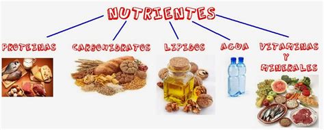 come limpio: LOS NUTRIENTES : MACROnutrientes MICROnutrientes